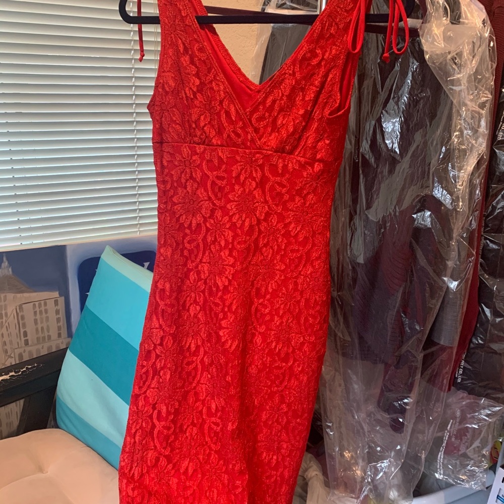 Red Rampage Lace Dress (Small)